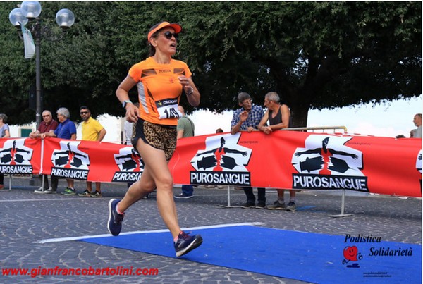 L'Arrampicata di Tolfa [CE] (22/08/2019) 00073