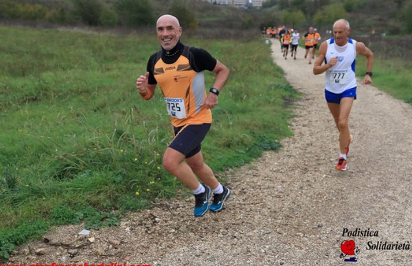 Maratonina di S.Alberto Magno [TOP] (16/11/2019) 00020