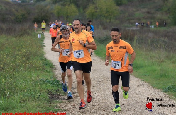 Maratonina di S.Alberto Magno [TOP] (16/11/2019) 00027