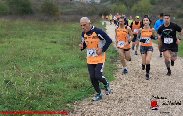 Maratonina di S.Alberto Magno [TOP] (16/11/2019) 00030