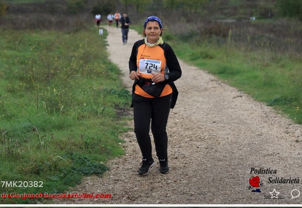 Maratonina di S.Alberto Magno [TOP] (16/11/2019) 00085