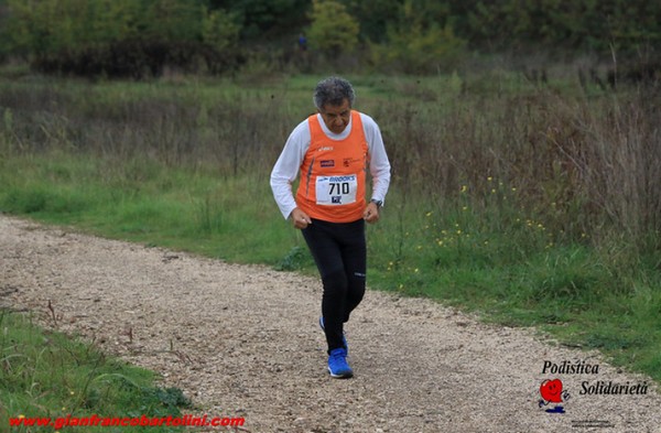 Maratonina di S.Alberto Magno [TOP] (16/11/2019) 00087