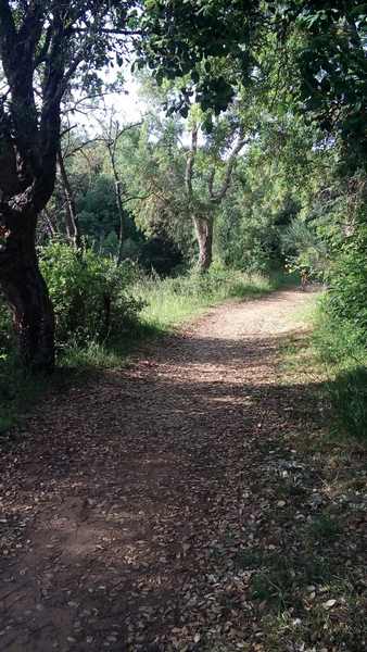 Sulle Orme di Enea (08/06/2019) 00005