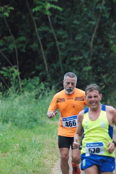 Race for Children [TOP] (12/05/2019) 00102