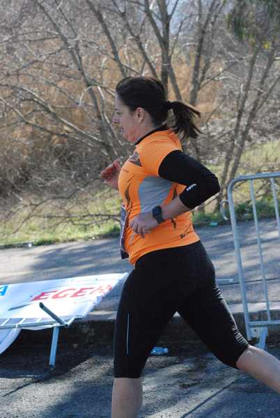 XMilia [TOP]  [Trofeo AVIS] (24/02/2019) 00102
