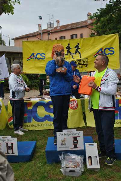 Per Antiqua Itinera  [Trofeo AVIS - GARA BLOOD] (05/05/2019) 00003