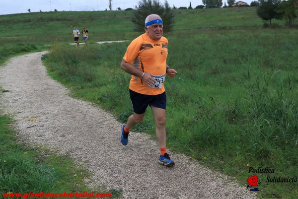 Maratonina di S.Alberto Magno [TOP] (16/11/2019) 00064