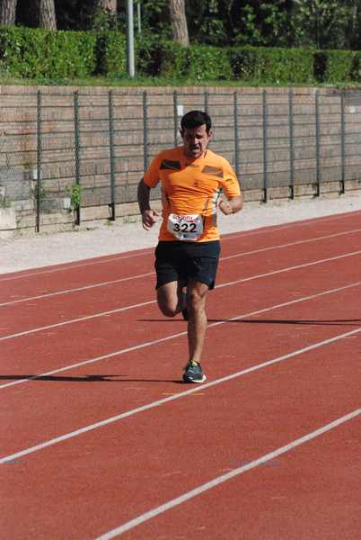 Roma 3 Ville Run [TOP] [GOLD] (25/04/2019) 00011