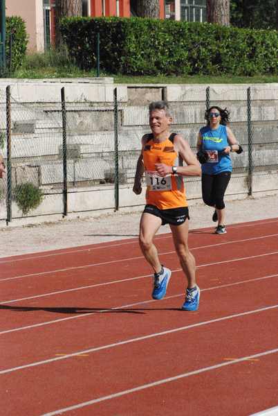 Roma 3 Ville Run [TOP] [GOLD] (25/04/2019) 00020