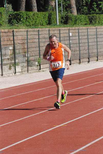 Roma 3 Ville Run [TOP] [GOLD] (25/04/2019) 00044