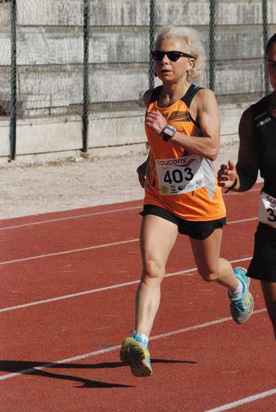 Roma 3 Ville Run [TOP] [GOLD] (25/04/2019) 00054