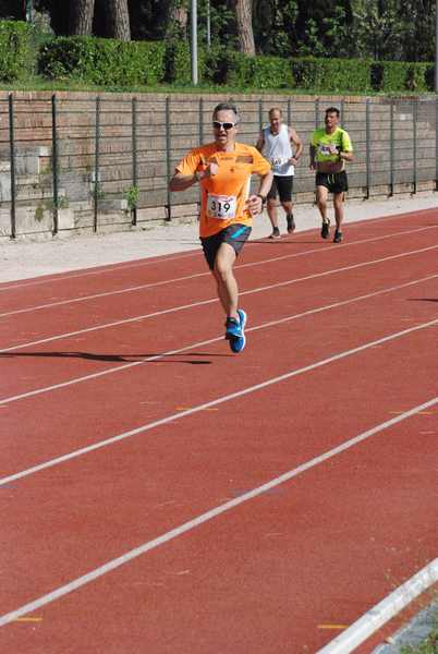 Roma 3 Ville Run [TOP] [GOLD] (25/04/2019) 00069