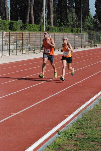 Roma 3 Ville Run [TOP] [GOLD] (25/04/2019) 00079