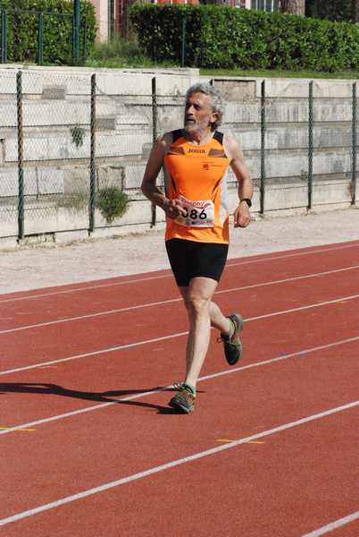 Roma 3 Ville Run [TOP] [GOLD] (25/04/2019) 00118