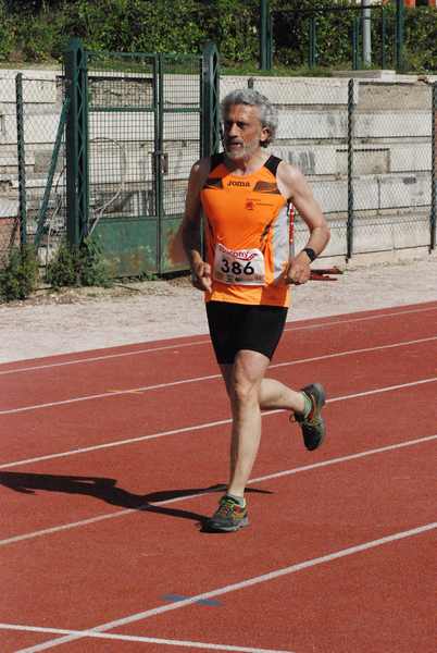 Roma 3 Ville Run [TOP] [GOLD] (25/04/2019) 00120