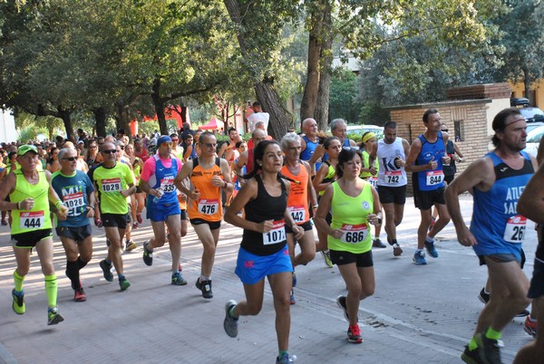 Circeo National Park Trail Race [TOP] [CE] (24/08/2019) 00020