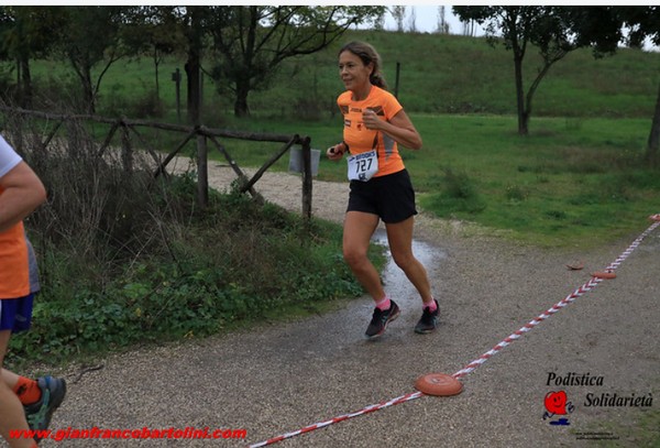 Maratonina di S.Alberto Magno [TOP] (16/11/2019) 00010