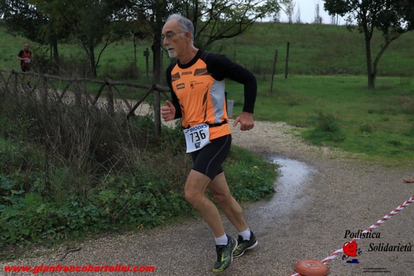 Maratonina di S.Alberto Magno [TOP] (16/11/2019) 00012