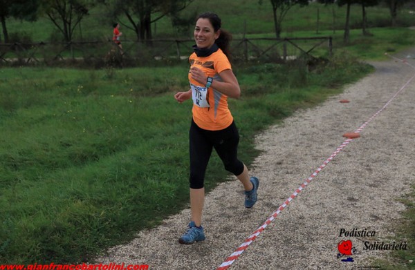 Maratonina di S.Alberto Magno [TOP] (16/11/2019) 00015