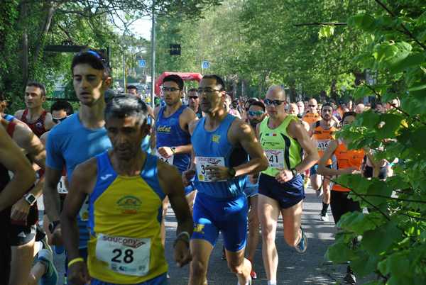 Roma 3 Ville Run [TOP] [GOLD] (25/04/2019) 00009