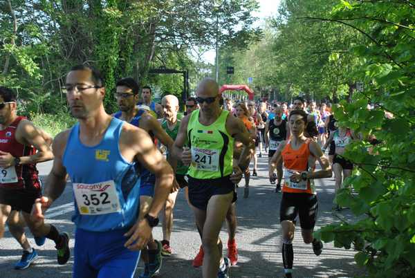 Roma 3 Ville Run [TOP] [GOLD] (25/04/2019) 00010
