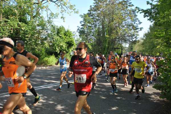 Roma 3 Ville Run [TOP] [GOLD] (25/04/2019) 00015