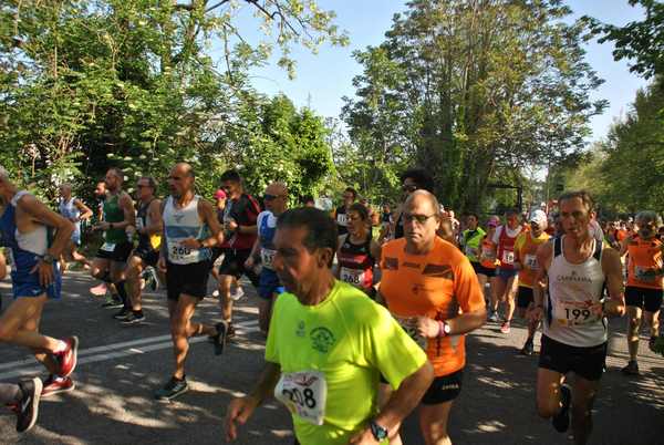 Roma 3 Ville Run [TOP] [GOLD] (25/04/2019) 00017