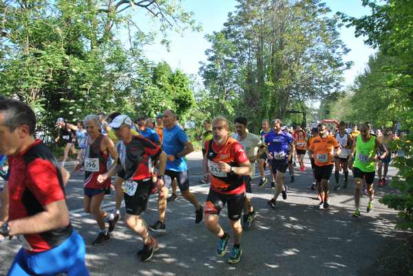 Roma 3 Ville Run [TOP] [GOLD] (25/04/2019) 00020