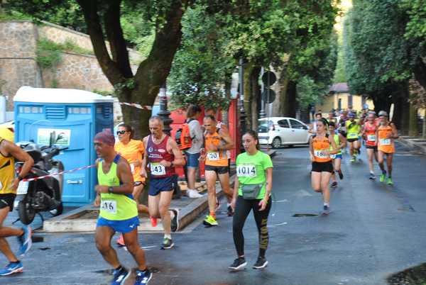 Palestrina Archeologica [TOP][C.C.R.] (13/07/2019) 00023