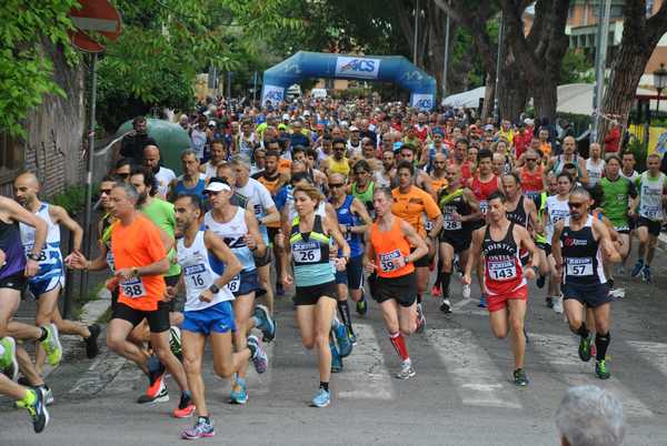 Per Antiqua Itinera  [Trofeo AVIS - GARA BLOOD] (05/05/2019) 00008