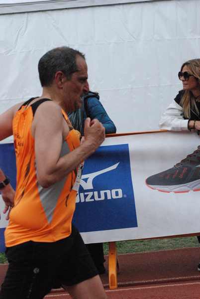 Appia Run [TOP] - [Trofeo AVIS] (28/04/2019) 00034