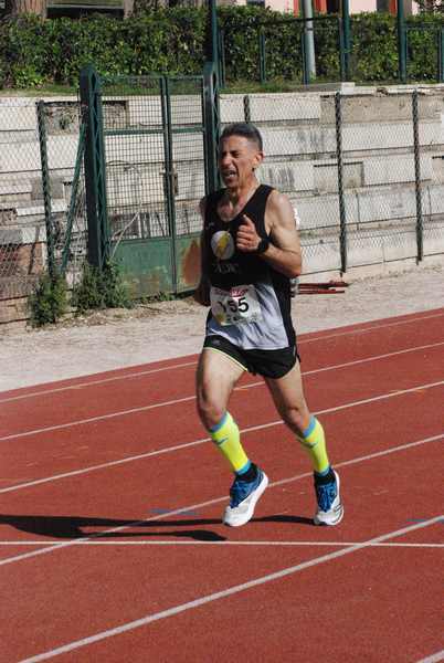 Roma 3 Ville Run [TOP] [GOLD] (25/04/2019) 00004