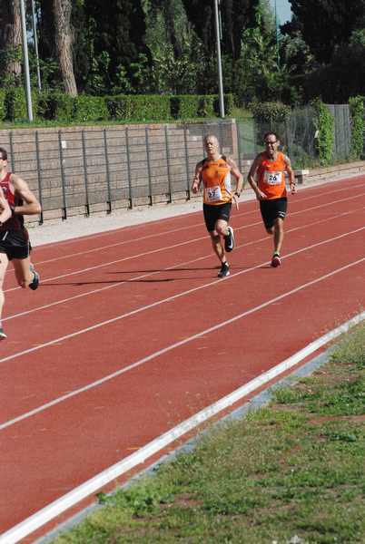 Roma 3 Ville Run [TOP] [GOLD] (25/04/2019) 00005