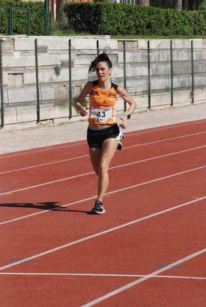Roma 3 Ville Run [TOP] [GOLD] (25/04/2019) 00058