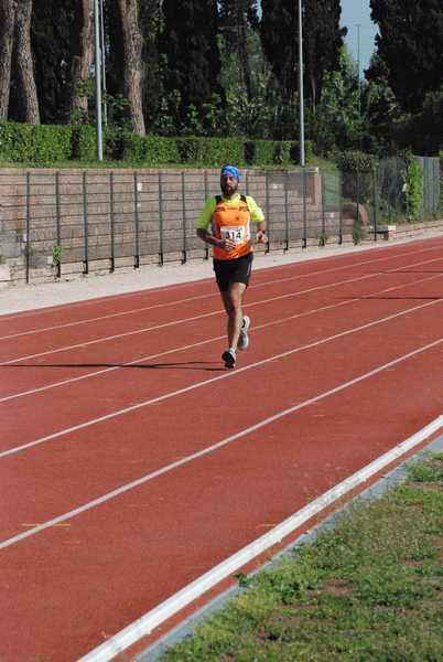 Roma 3 Ville Run [TOP] [GOLD] (25/04/2019) 00098