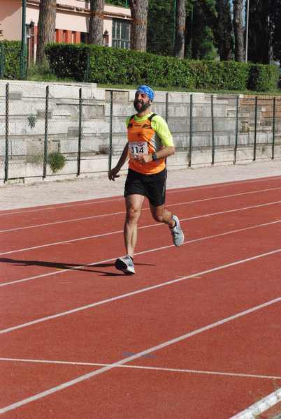 Roma 3 Ville Run [TOP] [GOLD] (25/04/2019) 00101