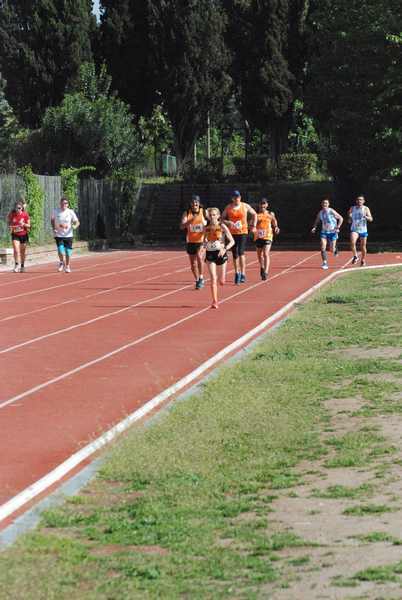 Roma 3 Ville Run [TOP] [GOLD] (25/04/2019) 00108