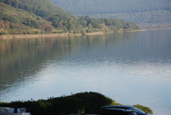 Mezza Maratona del Lago di Vico (13/10/2019) 00048
