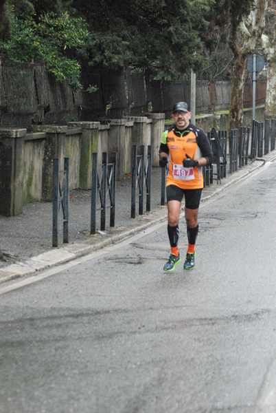La Panoramica Half Marathon [TOP][C.C.] (03/02/2019) 00075