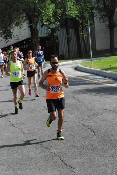 Maratonina 