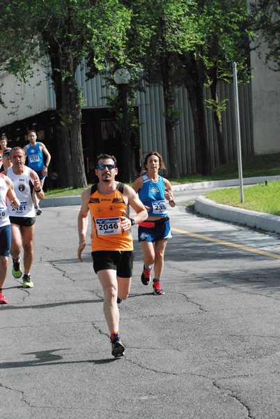 Maratonina 