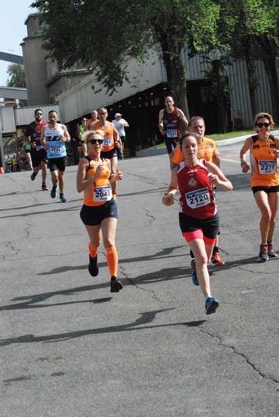 Maratonina 