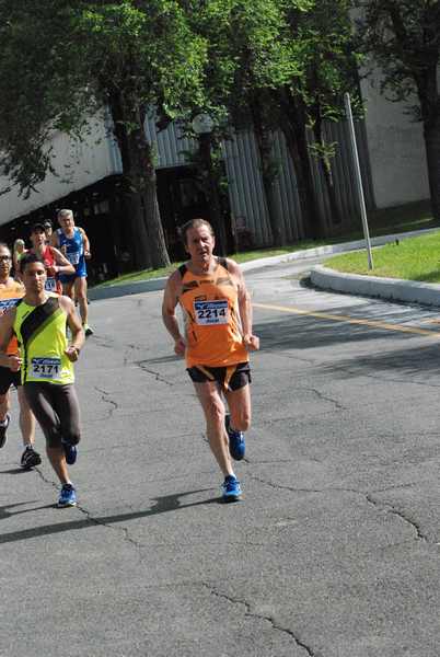 Maratonina 