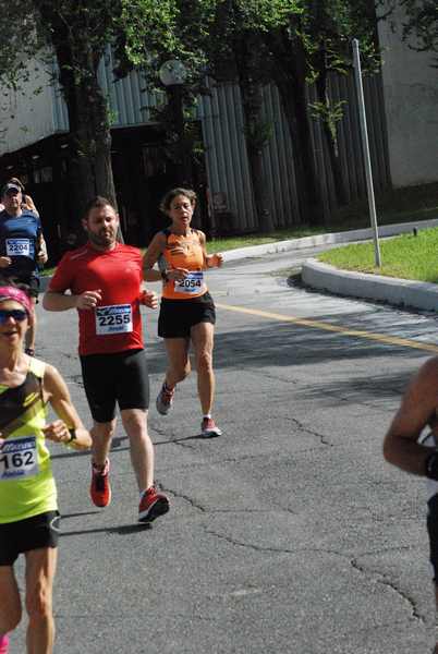 Maratonina 