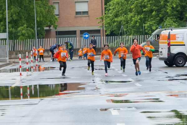 Joint Run - In corsa per la Lega Italiana del Filo d'Oro di Osimo (19/05/2019) 00007