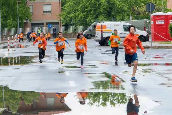 Joint Run - In corsa per la Lega Italiana del Filo d'Oro di Osimo (19/05/2019) 00010