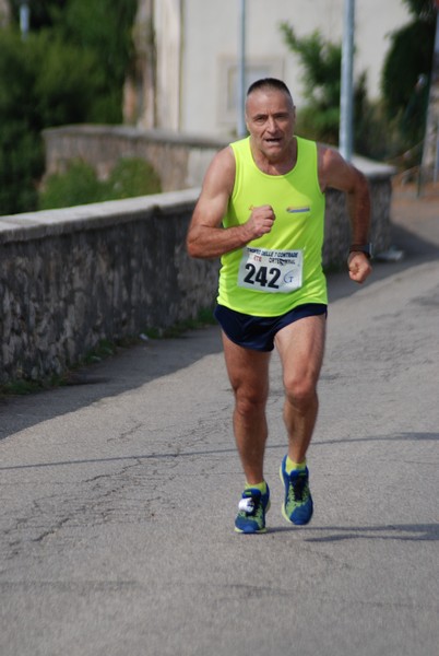 Trofeo delle Sette Contrade [CE] (01/09/2019) 00038