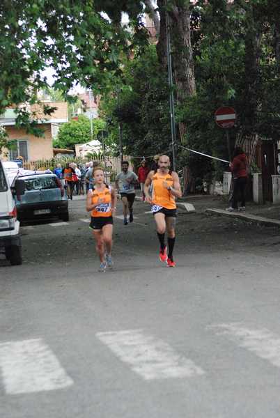 Per Antiqua Itinera  [Trofeo AVIS - GARA BLOOD] (05/05/2019) 00030