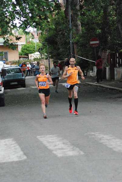 Per Antiqua Itinera  [Trofeo AVIS - GARA BLOOD] (05/05/2019) 00031