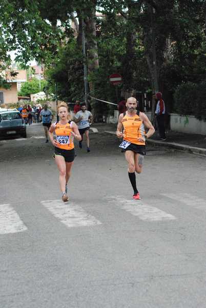 Per Antiqua Itinera  [Trofeo AVIS - GARA BLOOD] (05/05/2019) 00033